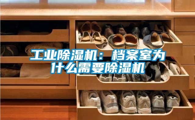 工业香蕉福利视频机：档案室为什么需要香蕉福利视频机