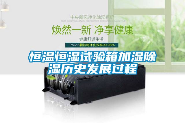 恒温恒湿试验箱加湿香蕉福利视频历史发展过程