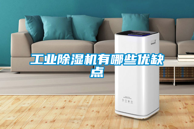 工业香蕉福利视频机有哪些优缺点