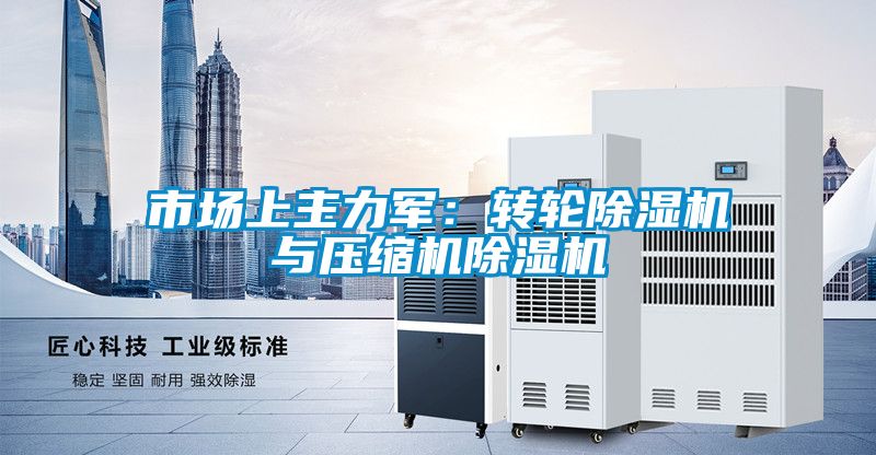 市场上主力军：转轮香蕉福利视频机与压缩机香蕉福利视频机