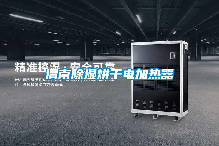渭南香蕉福利视频烘干电加热器