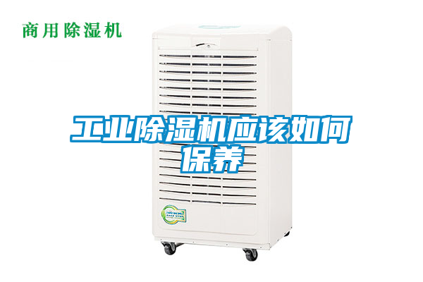 工业香蕉福利视频机应该如何保养