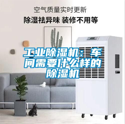 工业香蕉福利视频机：车间需要什么样的香蕉福利视频机