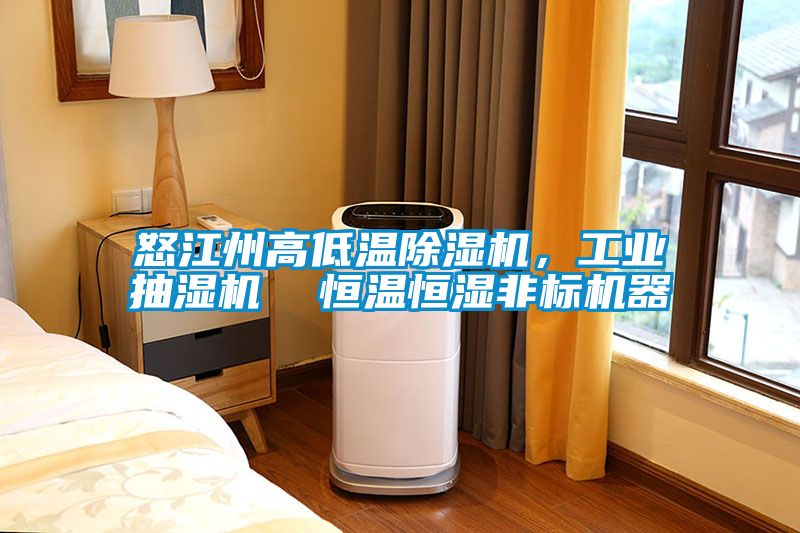 怒江州高低温香蕉福利视频机，工业抽湿机  恒温恒湿非标机器