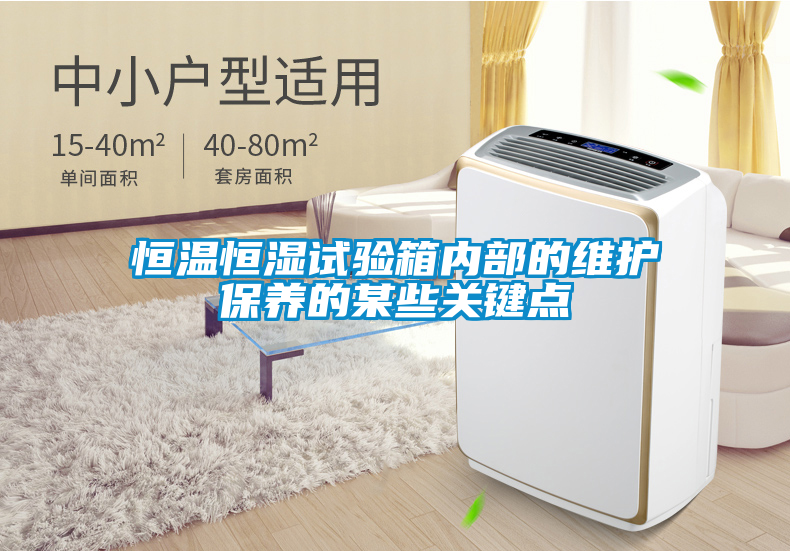 恒温恒湿试验箱内部的维护保养的某些关键点