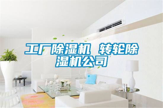 工厂香蕉福利视频机 转轮香蕉福利视频机公司
