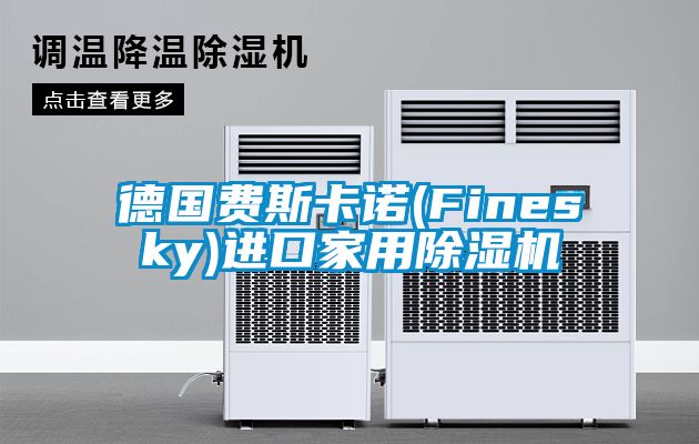 德国费斯卡诺(Finesky)进口家用香蕉福利视频机