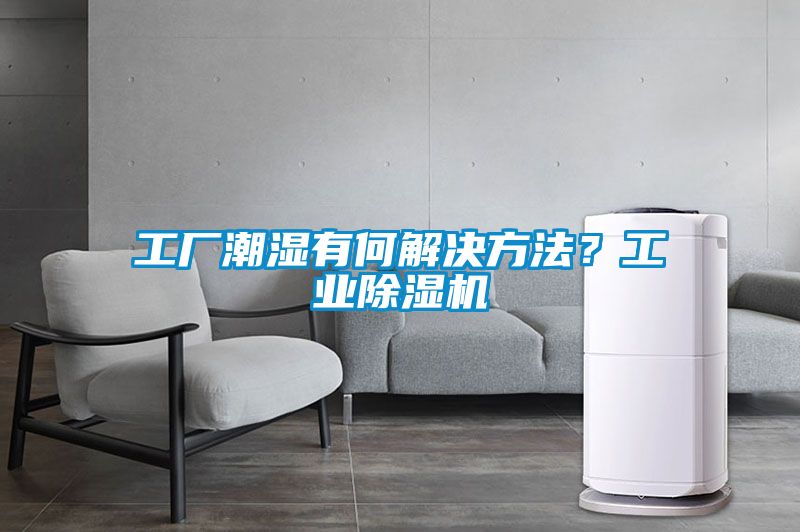 工厂潮湿有何解决方法？工业香蕉福利视频机