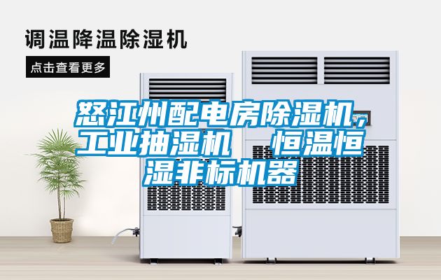 怒江州配电房香蕉福利视频机，工业抽湿机  恒温恒湿非标机器