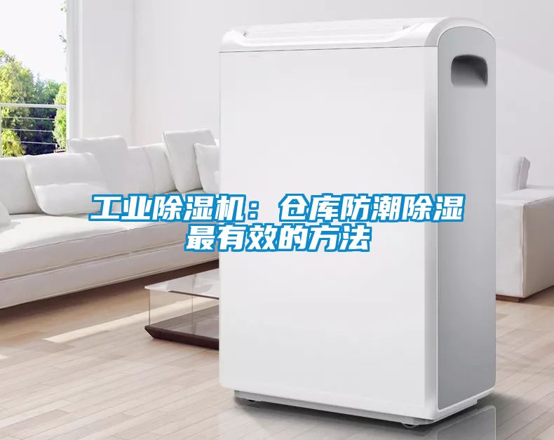 工业香蕉福利视频机：仓库防潮香蕉福利视频最有效的方法