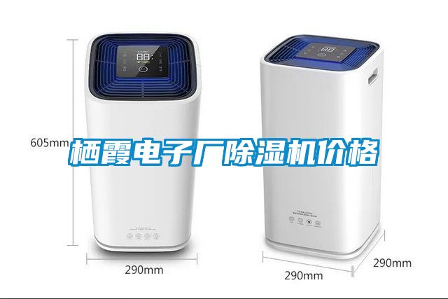 栖霞电子厂香蕉福利视频机价格