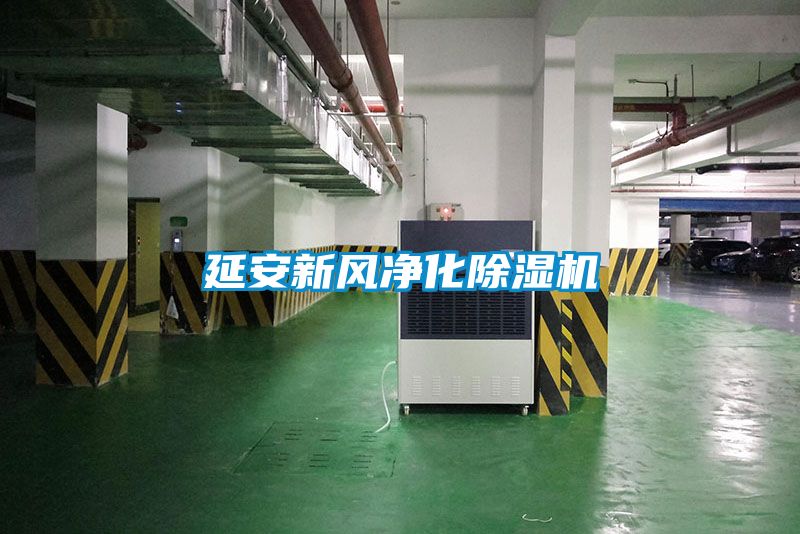延安新风净化香蕉福利视频机