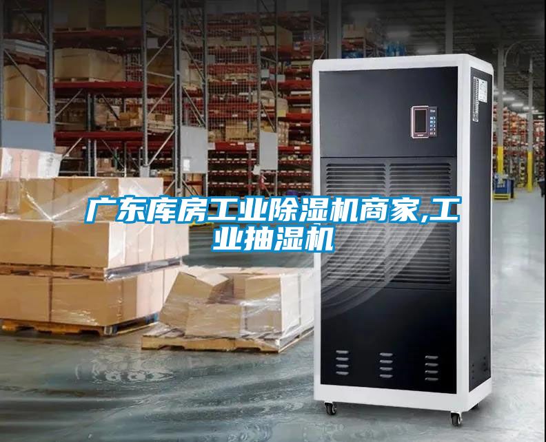 广东库房工业香蕉福利视频机商家,工业抽湿机