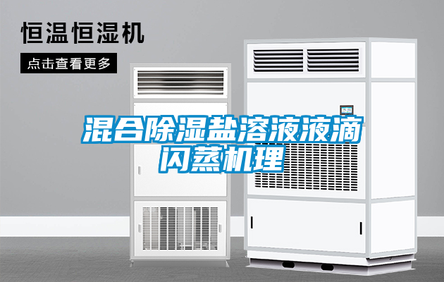 混合香蕉福利视频盐溶液液滴闪蒸机理