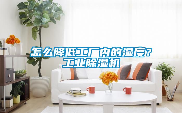 怎么降低工厂内的湿度？工业香蕉福利视频机