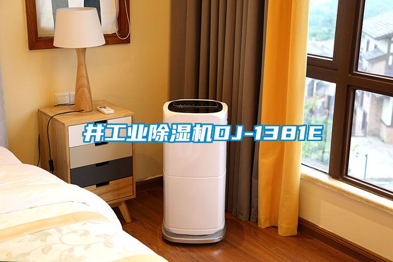 東井工业香蕉福利视频机DJ-1381E