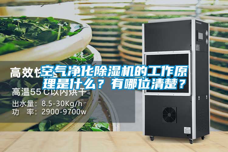 空气净化香蕉福利视频机的工作原理是什么？有哪位清楚？