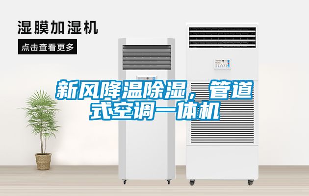 新风降温香蕉福利视频，管道式空调一体机