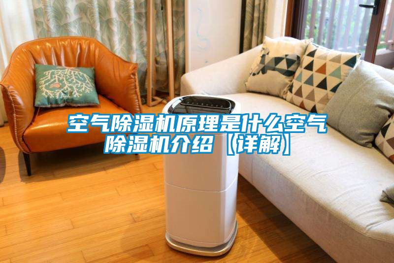空气香蕉福利视频机原理是什么空气香蕉福利视频机介绍【详解】