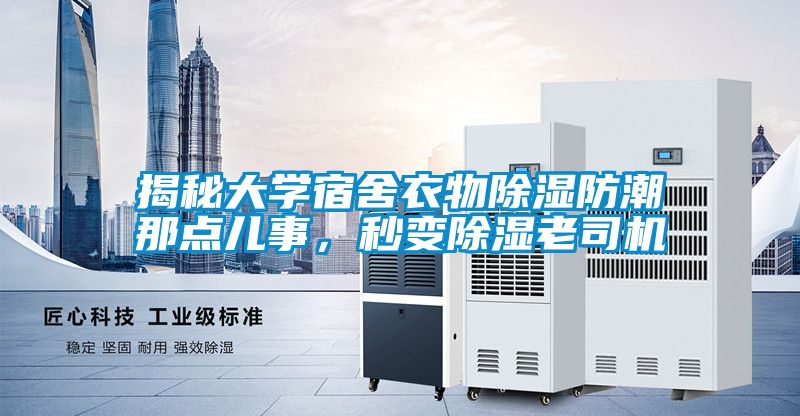 揭秘大学宿舍衣物香蕉福利视频防潮那点儿事，秒变香蕉福利视频老司机