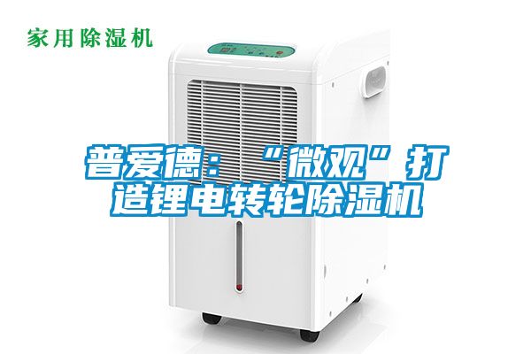 普爱德：“微观”打造锂电转轮香蕉福利视频机