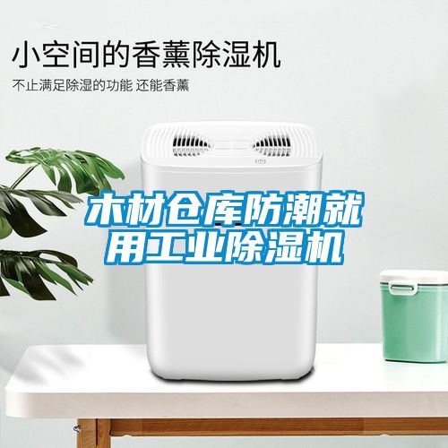 木材仓库防潮就用工业香蕉福利视频机