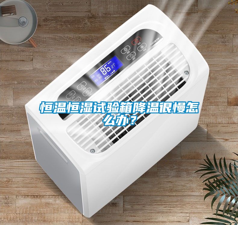 恒温恒湿试验箱降温很慢怎么办？