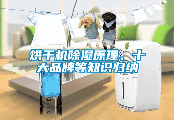 烘干机香蕉福利视频原理、十大品牌等知识归纳