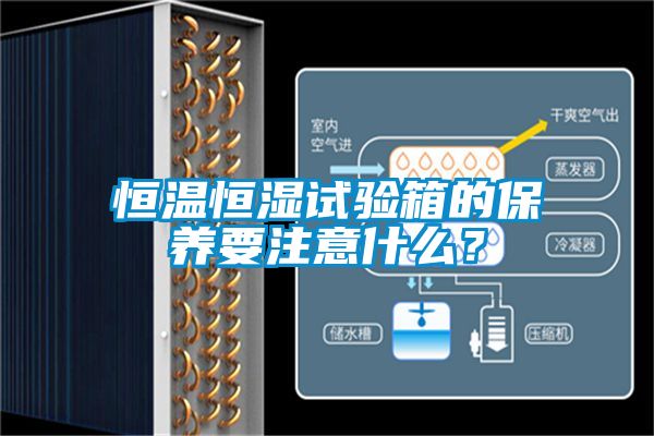 恒温恒湿试验箱的保养要注意什么？