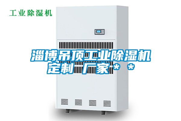 淄博吊顶工业香蕉福利视频机定制 厂家＊＊