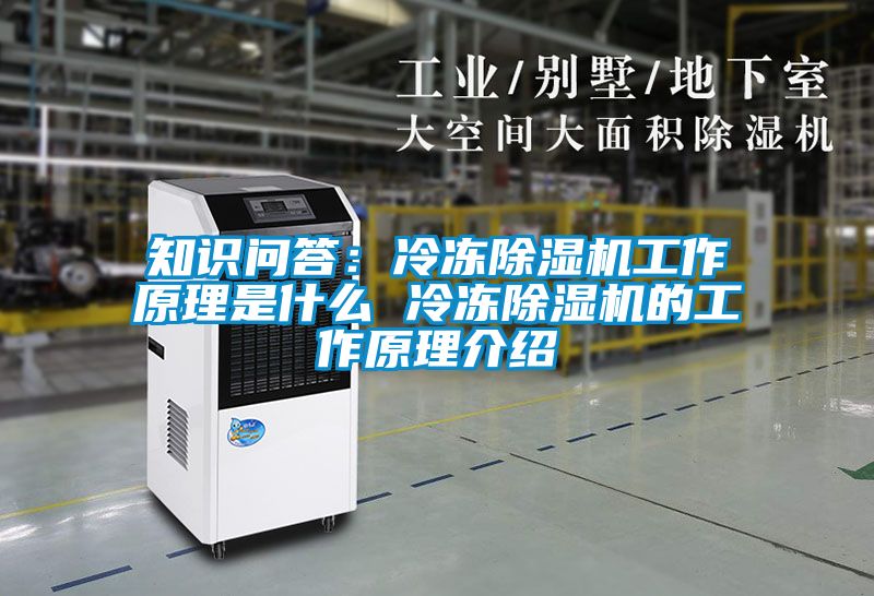知识问答：冷冻香蕉福利视频机工作原理是什么 冷冻香蕉福利视频机的工作原理介绍