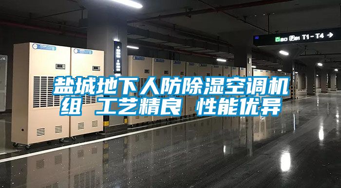盐城地下人防香蕉福利视频空调机组 工艺精良 性能优异