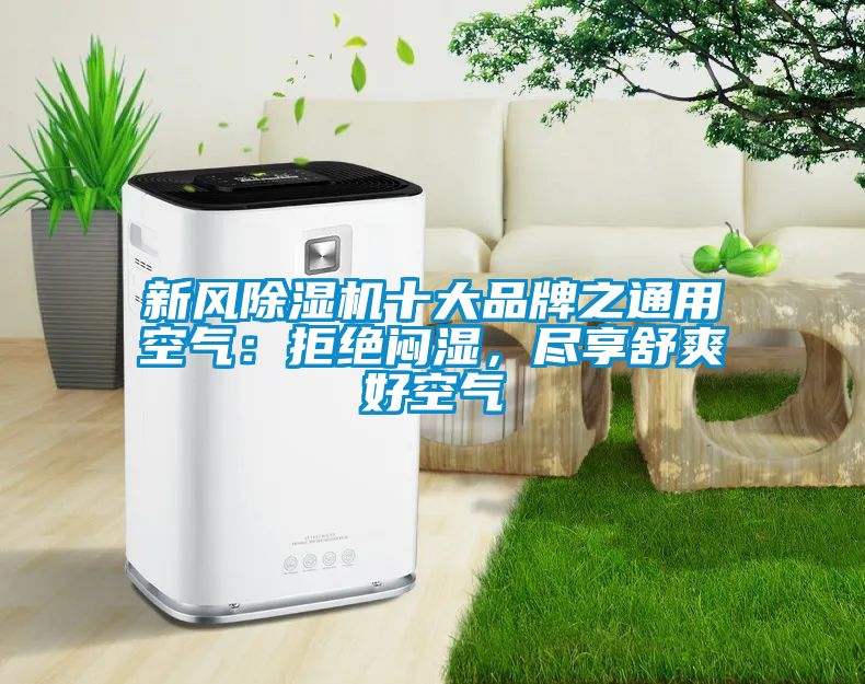 新风香蕉福利视频机十大品牌之通用空气：拒绝闷湿，尽享舒爽好空气