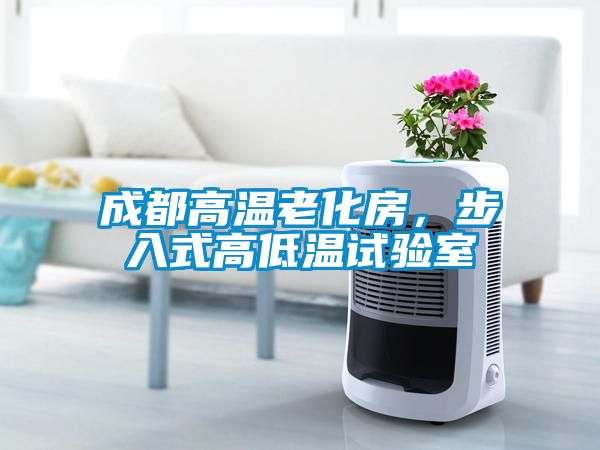成都高温老化房，步入式高低温试验室