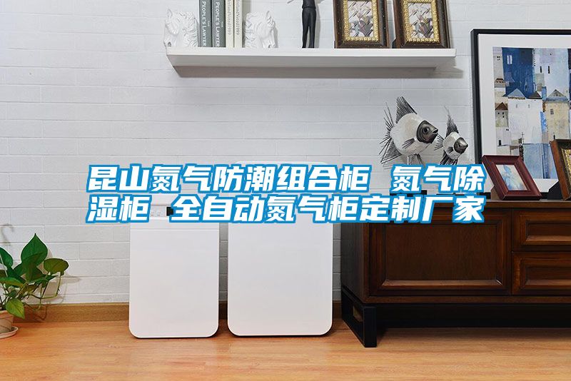 昆山氮气防潮组合柜 氮气香蕉福利视频柜 全自动氮气柜定制厂家