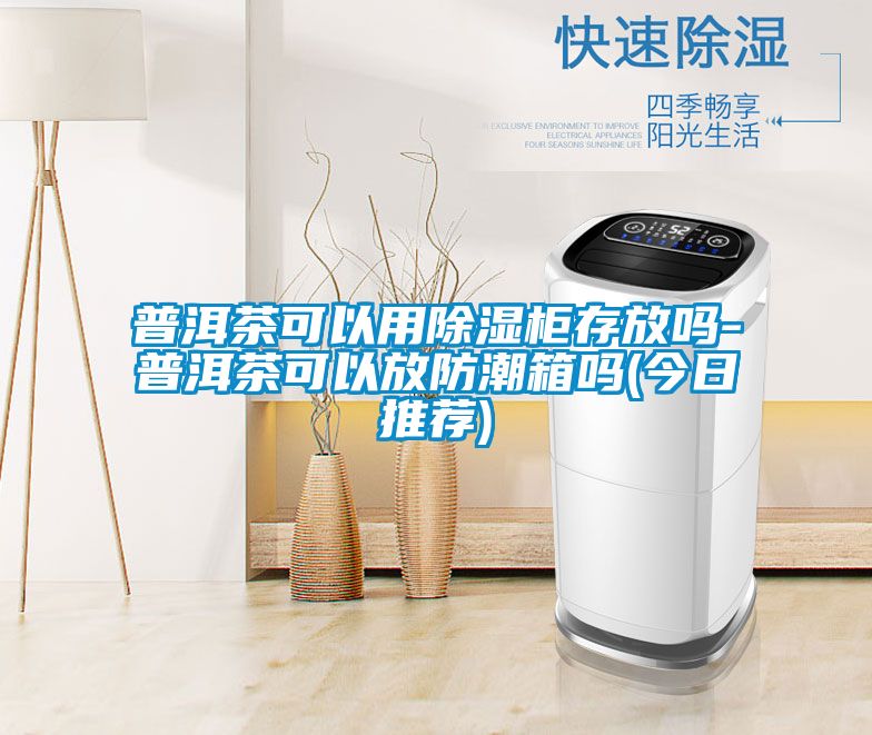 普洱茶可以用香蕉福利视频柜存放吗-普洱茶可以放防潮箱吗(今日推荐)