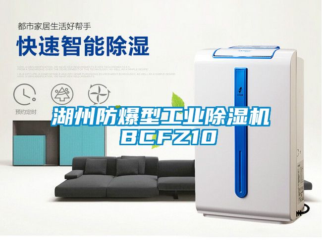 湖州防爆型工业香蕉福利视频机 BCFZ10