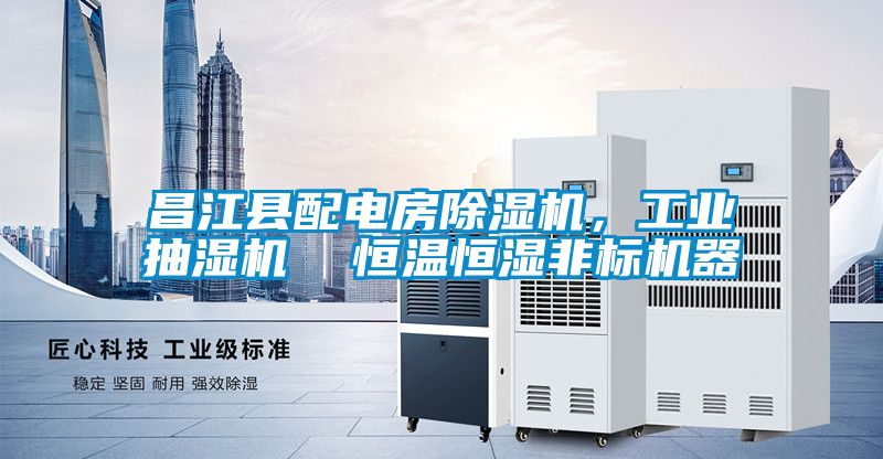 昌江县配电房香蕉福利视频机，工业抽湿机  恒温恒湿非标机器
