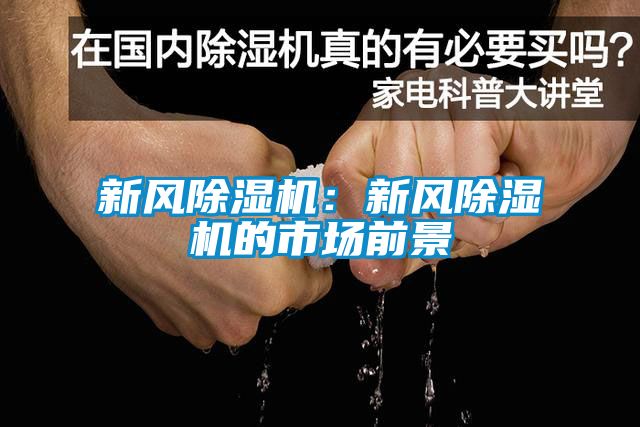 新风香蕉福利视频机：新风香蕉福利视频机的市场前景