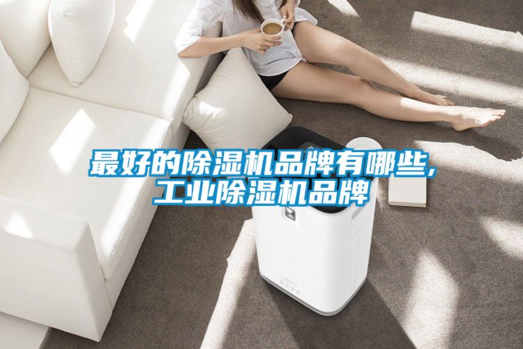 最好的香蕉福利视频机品牌有哪些,工业香蕉福利视频机品牌