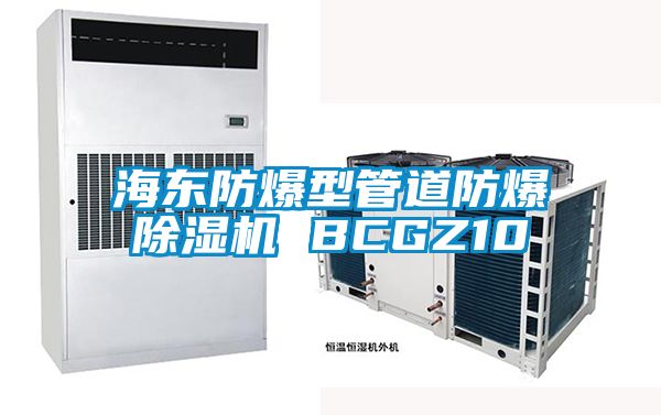 海东防爆型管道防爆香蕉福利视频机 BCGZ10