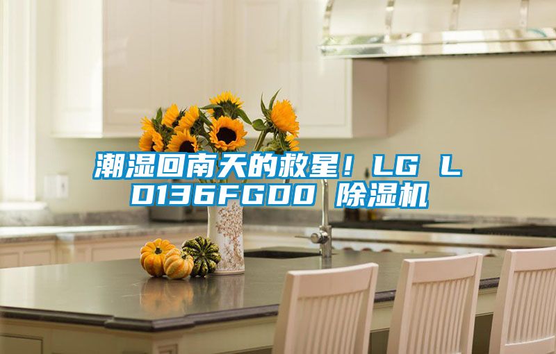 潮湿回南天的救星！LG LD136FGD0 香蕉福利视频机