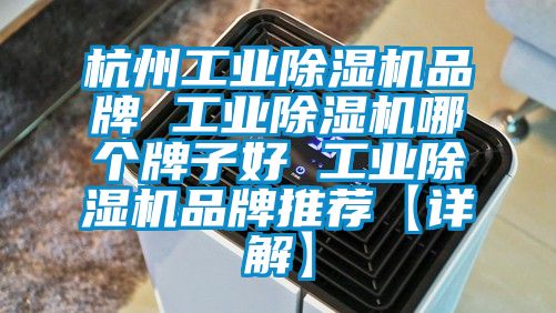 杭州工业香蕉福利视频机品牌 工业香蕉福利视频机哪个牌子好 工业香蕉福利视频机品牌推荐【详解】