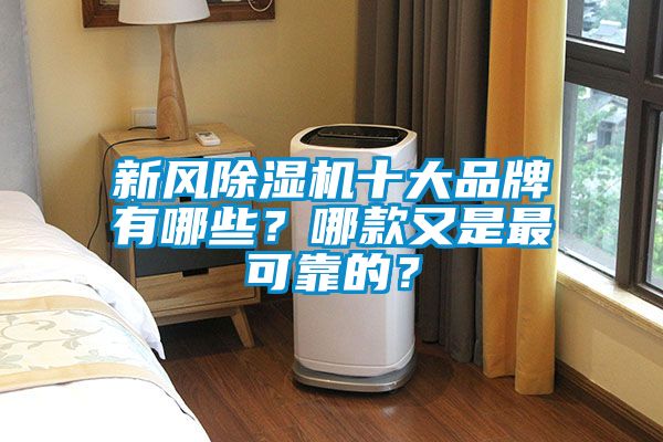 新风香蕉福利视频机十大品牌有哪些？哪款又是最可靠的？