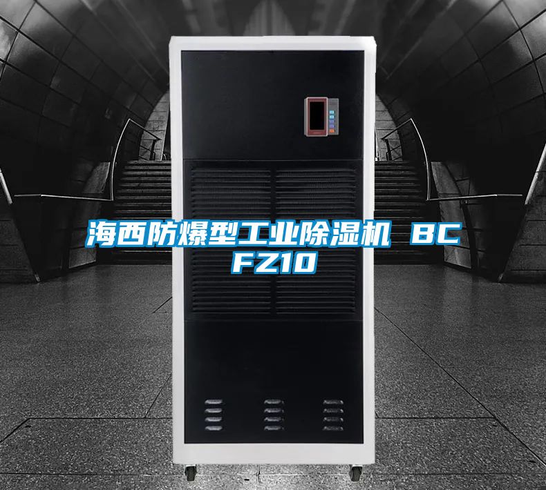 海西防爆型工业香蕉福利视频机 BCFZ10