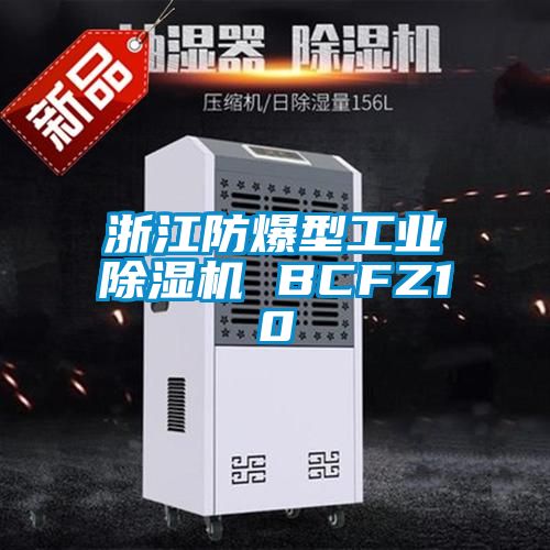 浙江防爆型工业香蕉福利视频机 BCFZ10