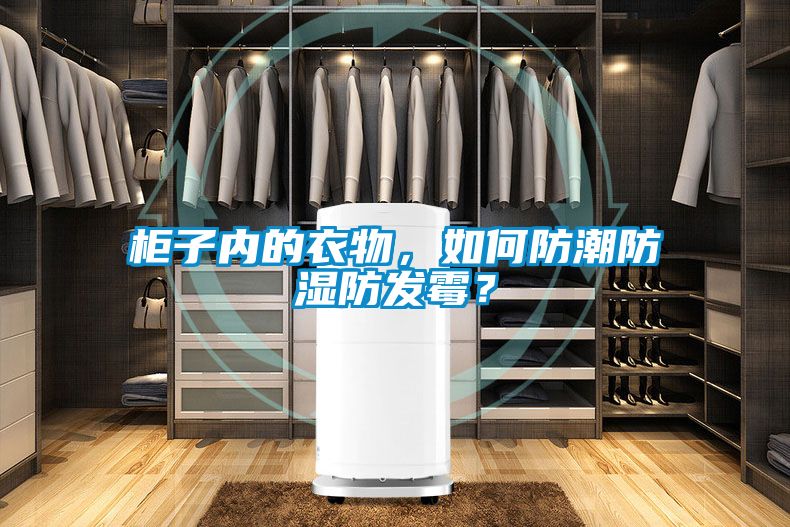 柜子内的衣物，如何防潮防湿防发霉？