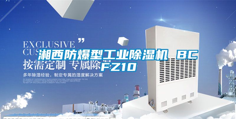 湘西防爆型工业香蕉福利视频机 BCFZ10