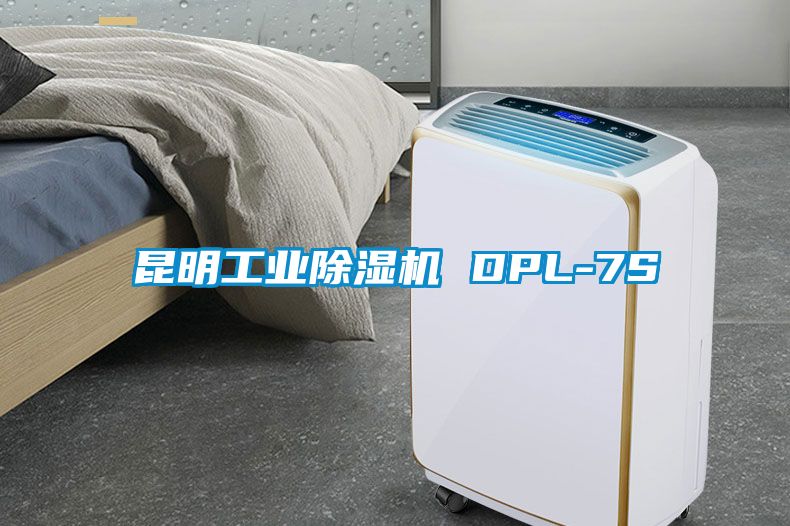 昆明工业香蕉福利视频机 DPL-7S