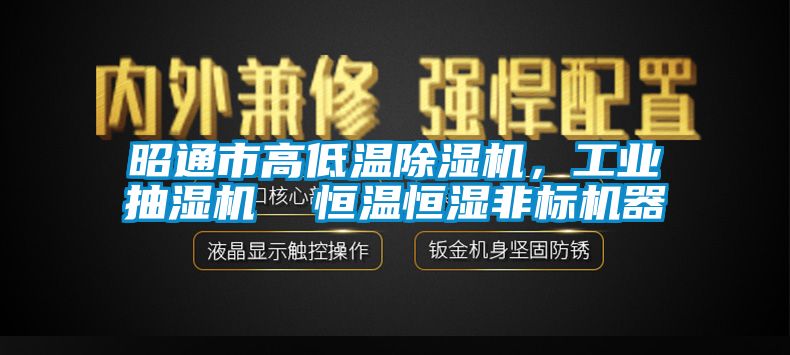 昭通市高低温香蕉福利视频机，工业抽湿机  恒温恒湿非标机器